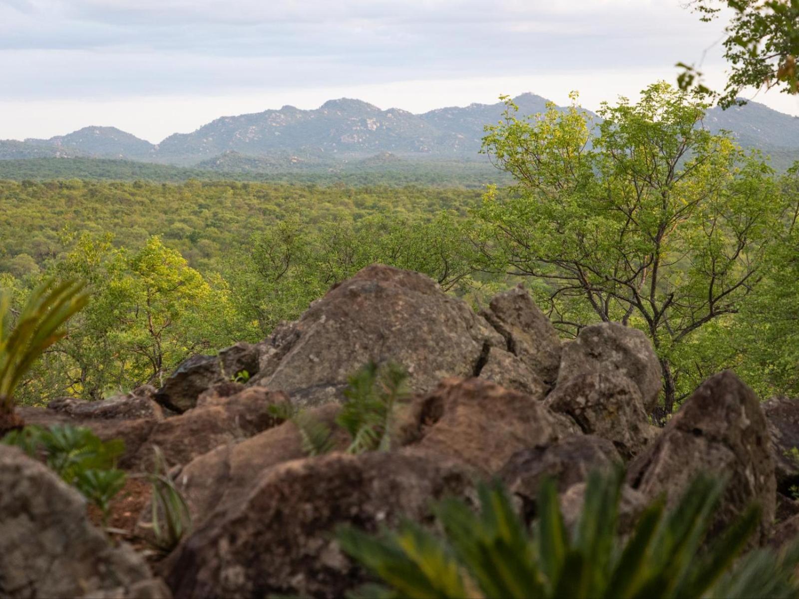 Appartement Bushveld Bivouac Private Camp